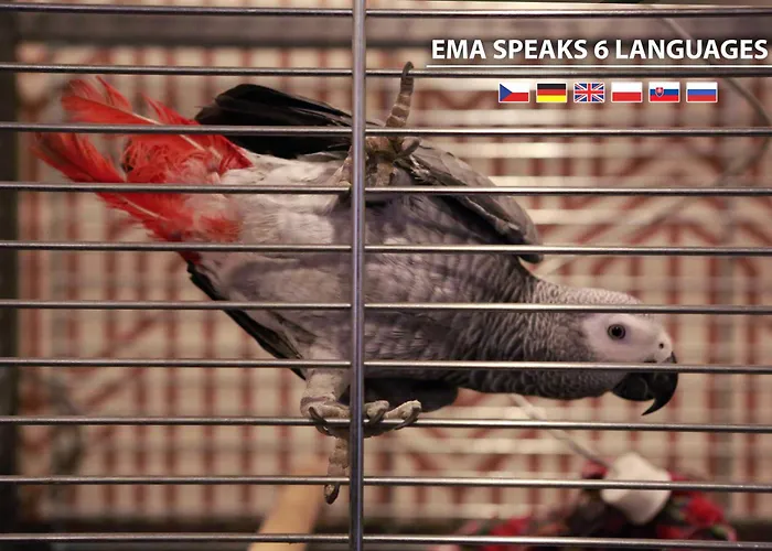 ホテル Colorfactory - Czech Leading 4*