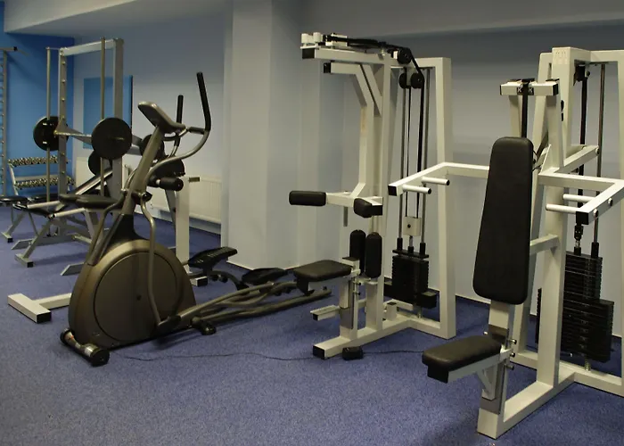 Colorfactory - Czech Leading