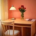 Colorfactory - Czech Leading