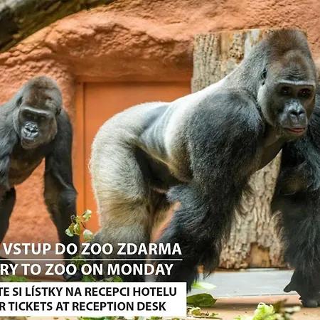 Hotel Wellness Extol - Czech Leading